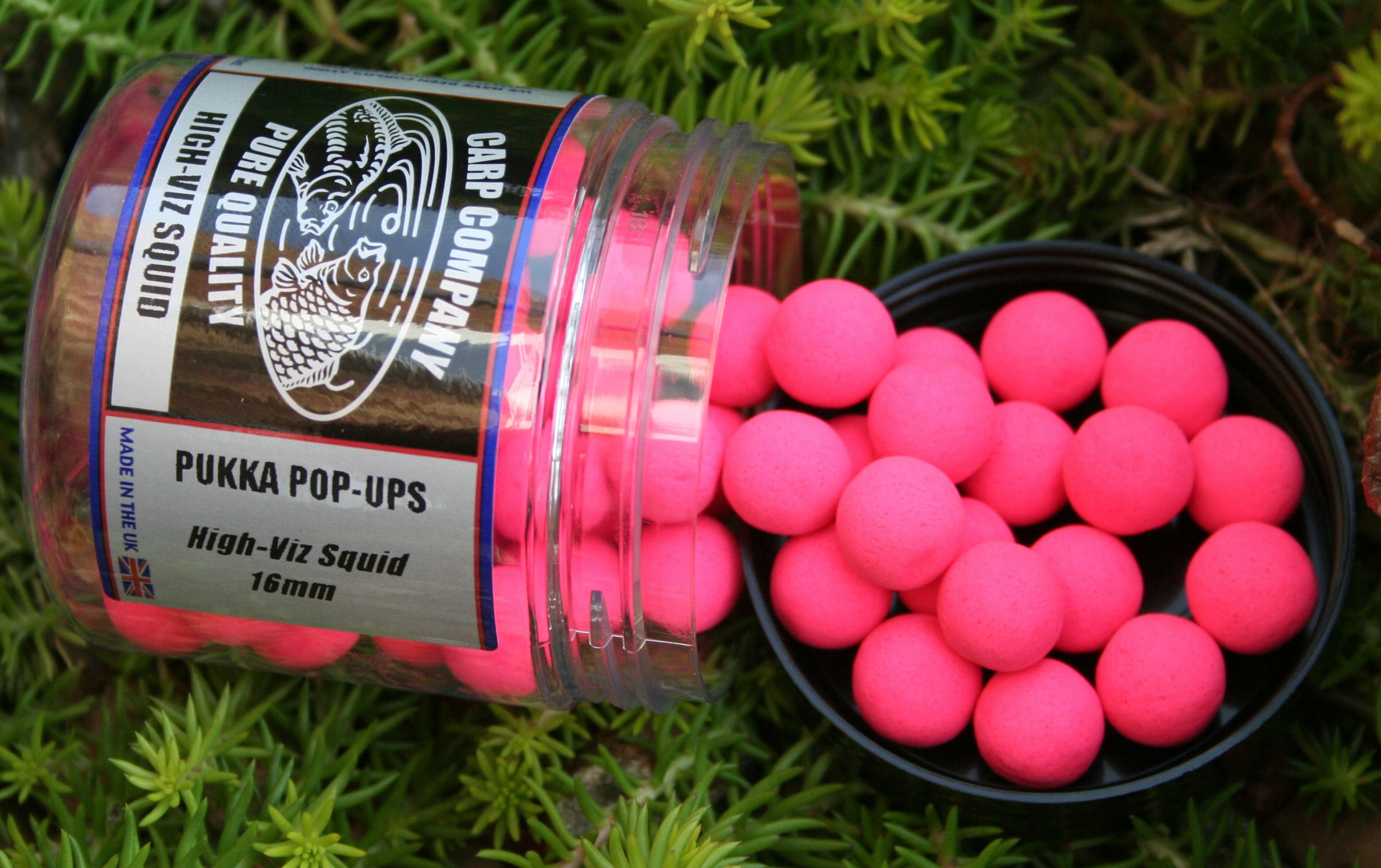Products – Carp Company